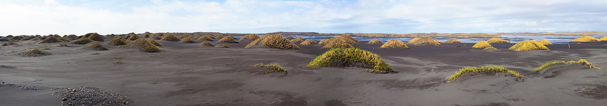 051623 Vesterhorn dune pano