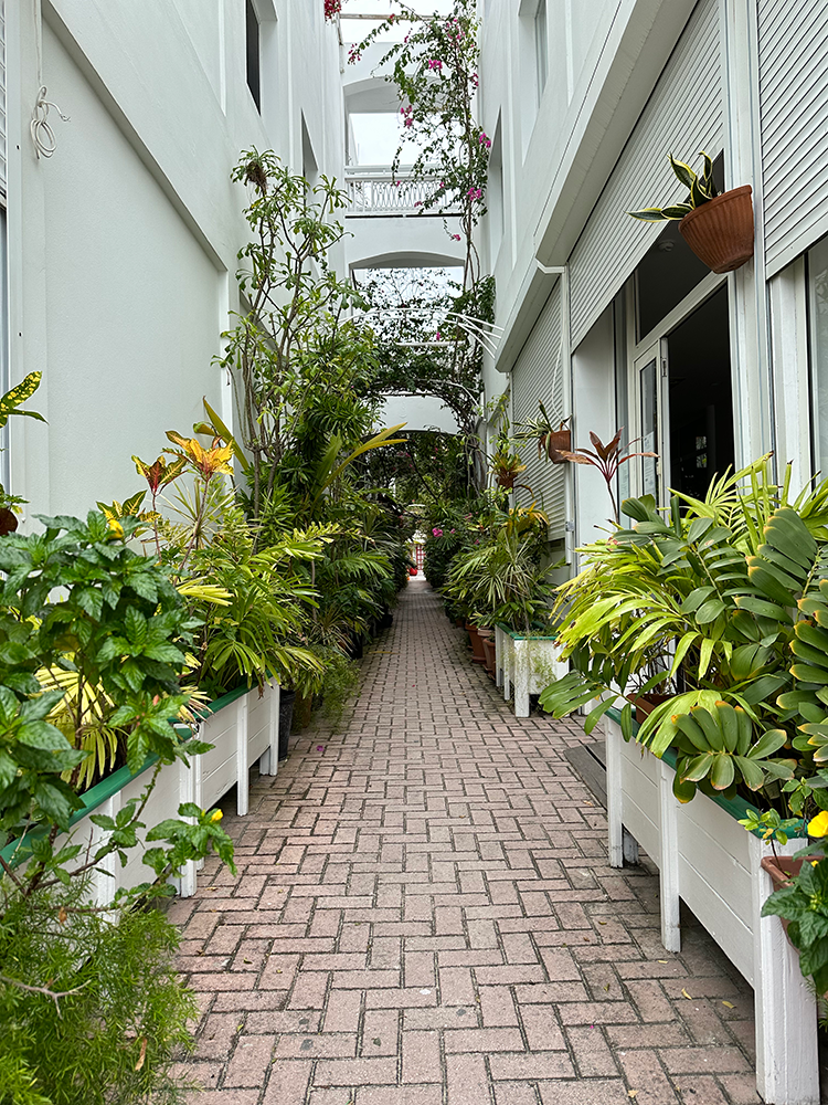 Philipsburg alley foliage