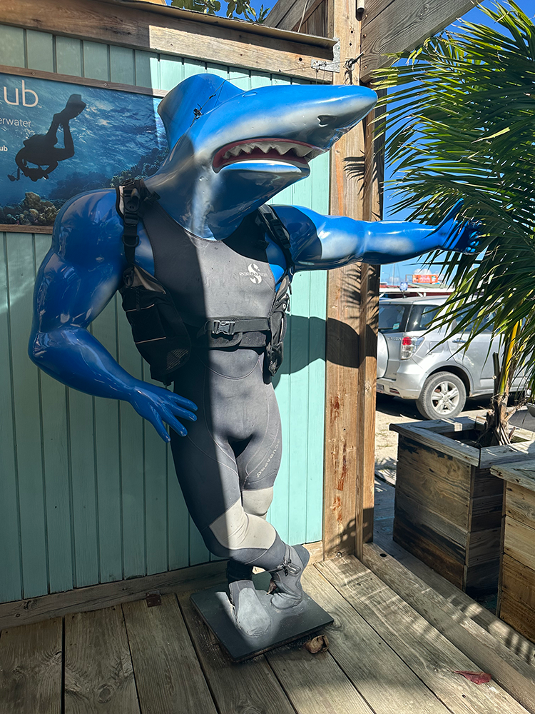 Shark statue in a wetsuit