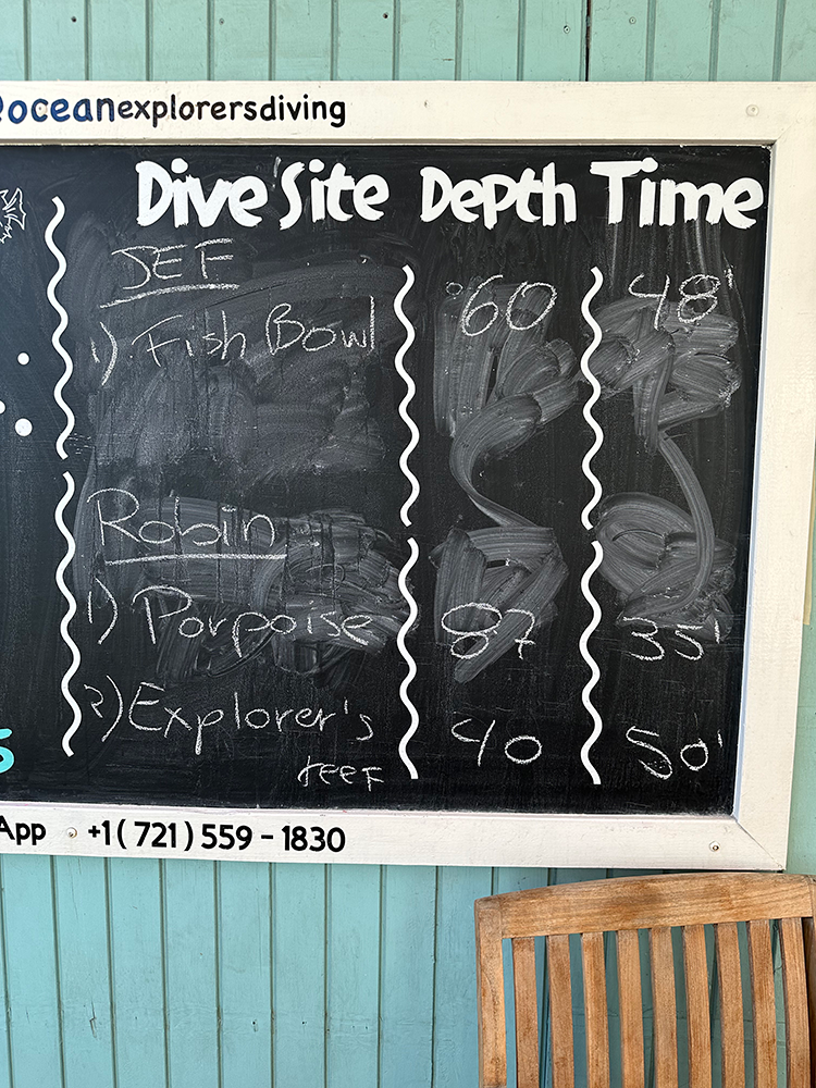 A chalkboard lists the dives for the day