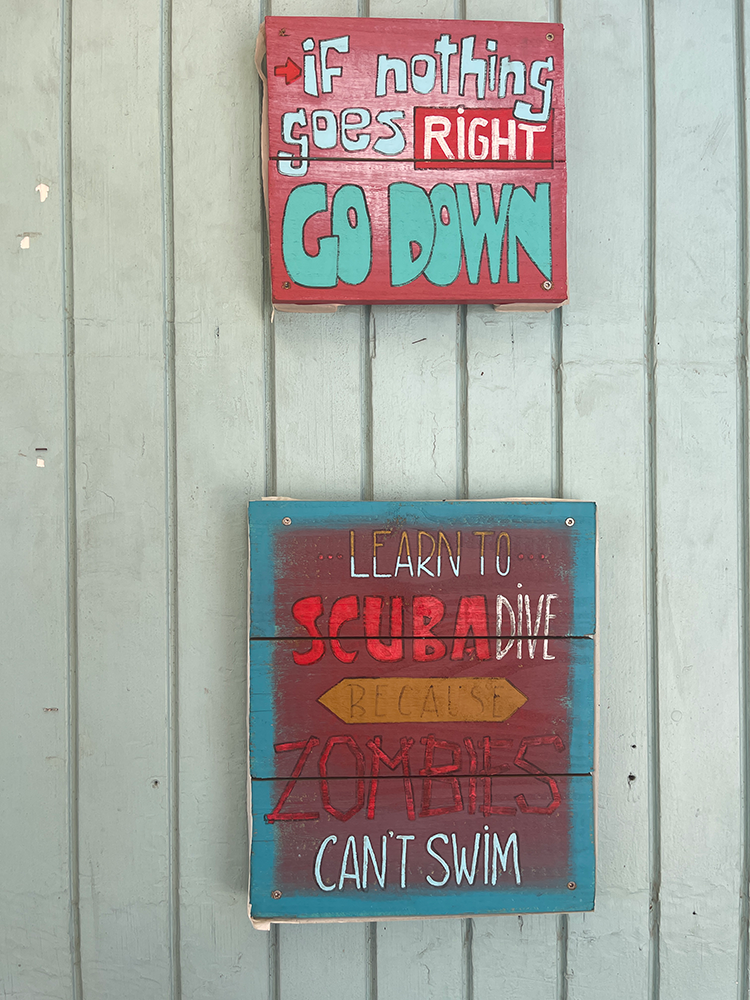 Dive Shop signage